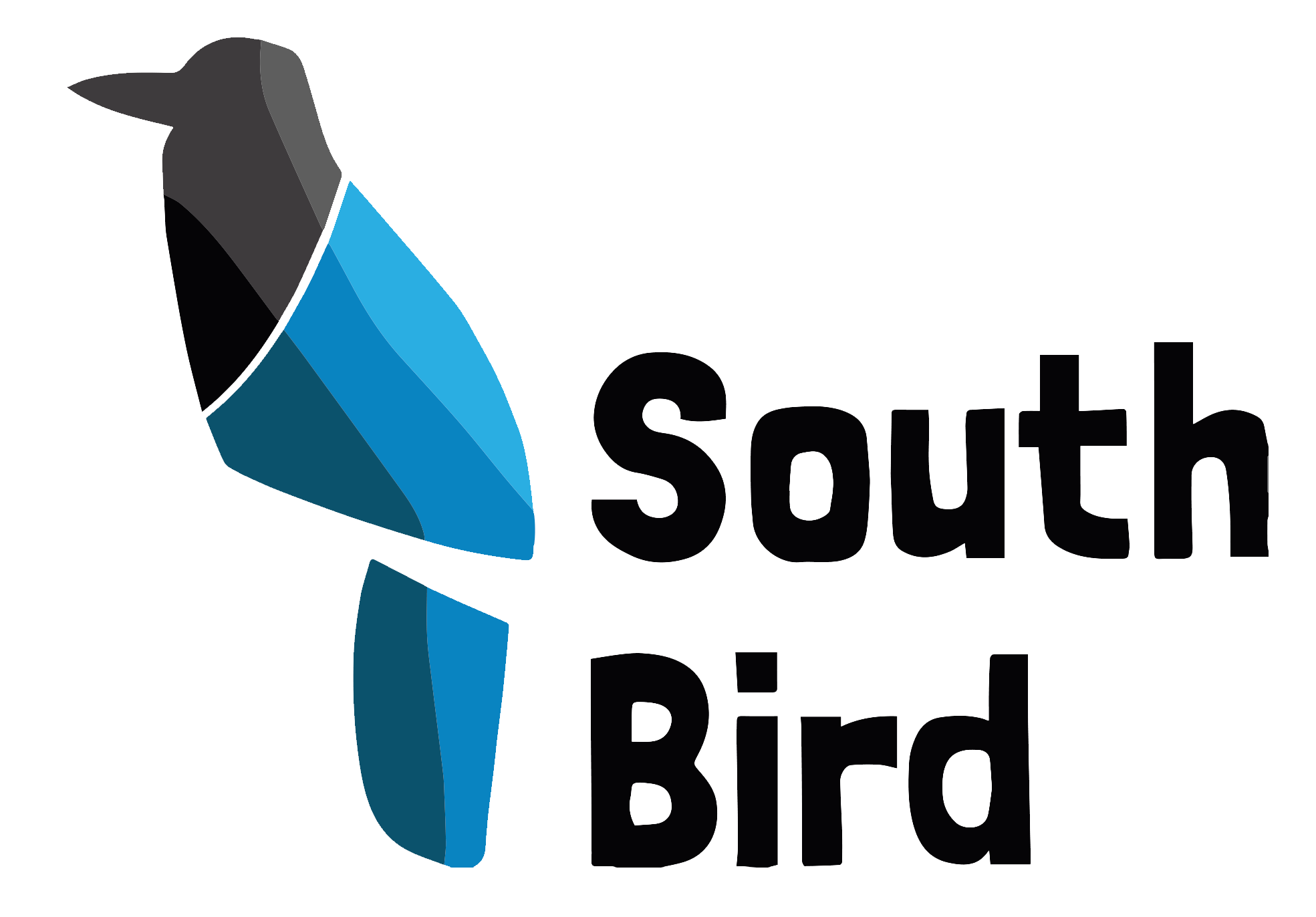 Logo South Bird